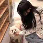 军团王者手游官方